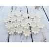 Kwiaty cukrowe stokrotka biała 20 sztuk